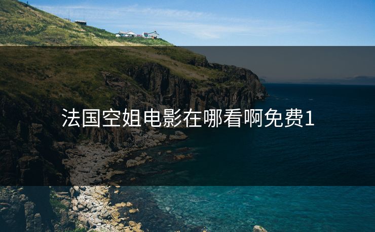 法国空姐电影在哪看啊免费1