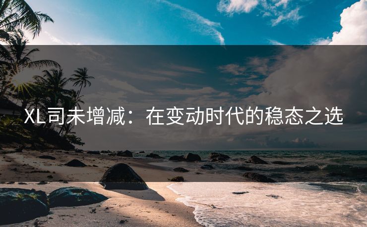 XL司未增减：在变动时代的稳态之选