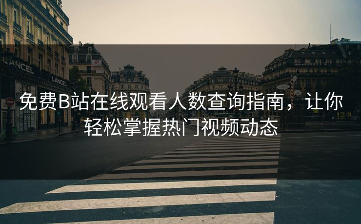 免费B站在线观看人数查询指南，让你轻松掌握热门视频动态