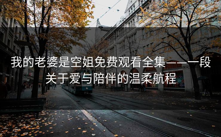 我的老婆是空姐免费观看全集——一段关于爱与陪伴的温柔航程