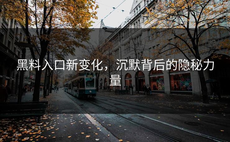 黑料入口新变化，沉默背后的隐秘力量